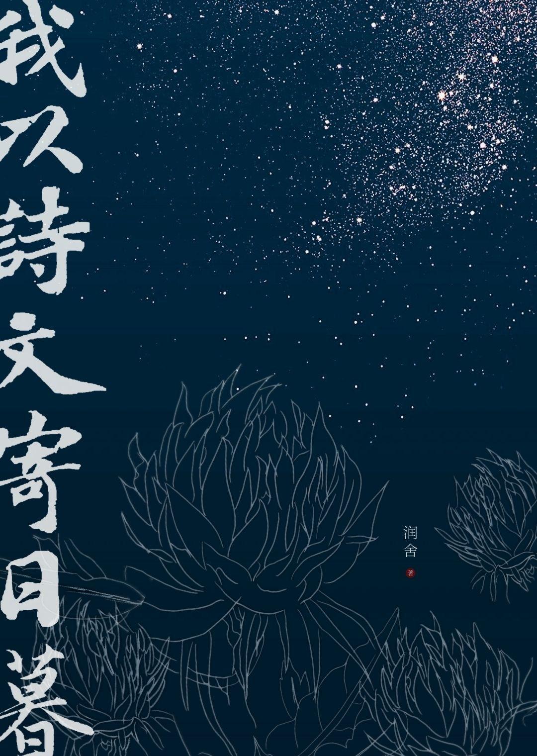 我以诗文寄日暮润舍