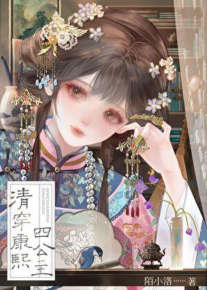 清穿康熙四公主70