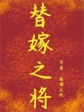 替嫁之将副CP番外篇内容