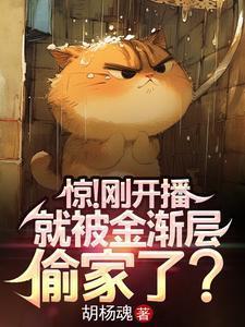 金渐层 by