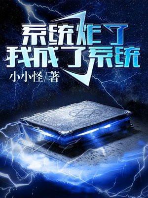书名(系统炸了所以我成了系统)