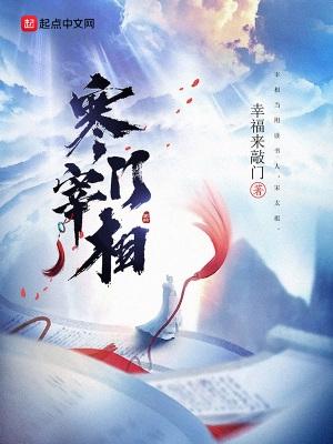 宰执天下