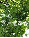 霁月难逢彩云易散是红楼梦中对谁的判词