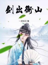 剑出衡山评价