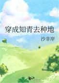 穿成知青的有哪些