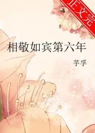 相敬如宾第六年txt