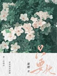 他只要我全文免费阅读