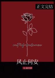 风止何安暗示什么