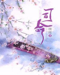 司命灶君