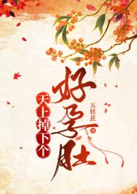 天上掉下个ufo完整版