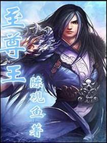 至尊王子酒黑金版多少钱一瓶